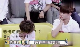 网红石昊爆料了吗视频在线观看,揭秘网红幕后故事